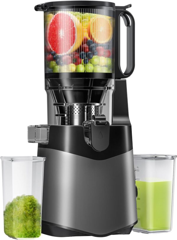 Whole Fruits & Vegetables,350W Slow Masticating Juicer