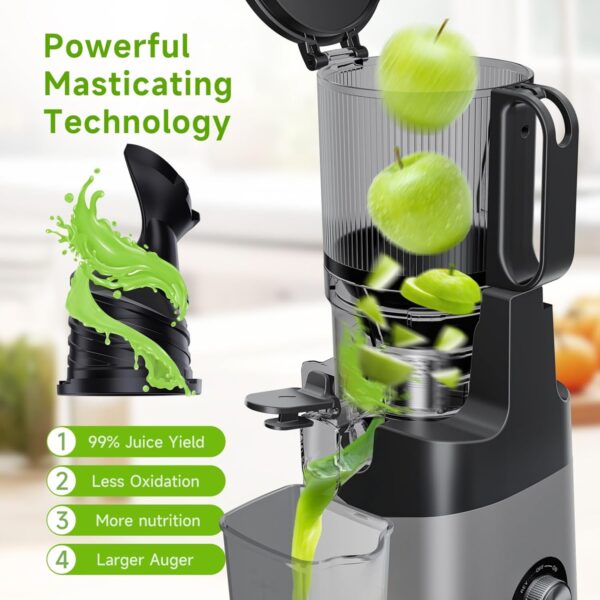 Whole Fruits & Vegetables,350W Slow Masticating Juicer - Image 3