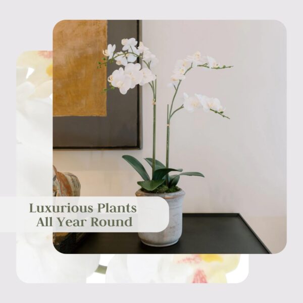 Premium Artificial Indoor Flower Display Stands 24 - Image 5
