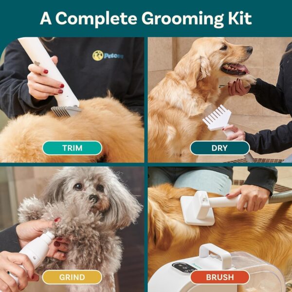 Dog Grooming Vacuum and Kit, Hair Dryer 8-in-1, - Image 4